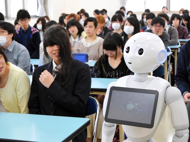 Japan Educational Robot